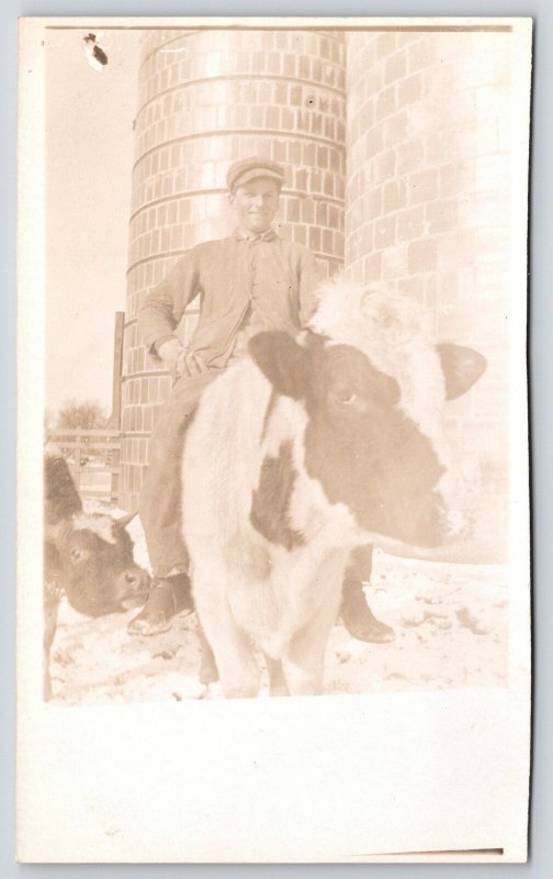 Real Photo Postcard~Farm Boy Rides Cow~Calf Sticks Nose in Pic~Silo~c1912 RPPC