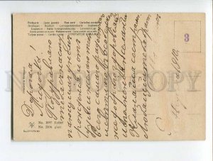 3051801 CARNATIONS by C. KLEIN vintage PFB Publ. pc