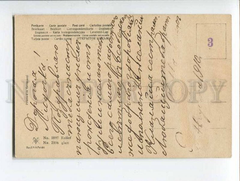 3051801 CARNATIONS by C. KLEIN vintage PFB Publ. pc