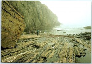 Postcard - Bald Head Cliff - Bald Head, Maine