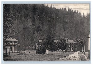 Vintage St. Alice Hotel Harrison Hot Spring, B.C. Postcard F145E