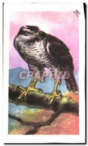 Image Entremets Francorusse Raptor Eagle Faucoun