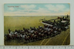 C.1910 Harvesting Scene, New York Vintage Postcard P53 