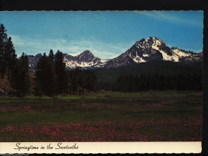 America Postcard - Sawtooth Valley, U.S Highway 75, Idaho  RR824
