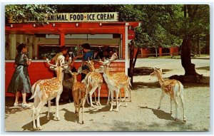 STROUDSBURG, PA Pennsylvania ~ Roadside Pocono WILD ANIMAL FARM c1960s Postcard