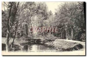 Old Postcard Epinal Le Chateau A Corner of the Promenade