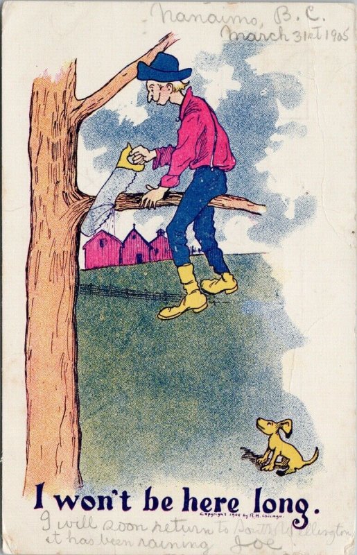 Comic Man Cutting Tree Branch Saw Humour Dog 1906 RM Chicago Postcard F53 *as is