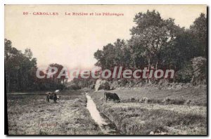 Postcard Old Carolles The River And The Pastures