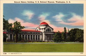 Natural History Building U.S. National Museum Washington DC Postcard PC91