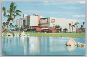 Advertising~Tampa Florida~Schlitz Brewery~Swan on Pond~Vintage Postcard