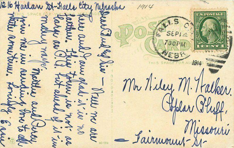 C-1910 City Park Falls City Nebraska Postcard Teich 4799