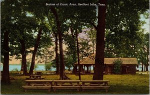 Section of Picnic Area Reelfoot Lake Tennessee Postcard PC238