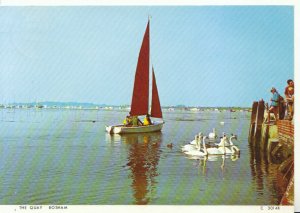 Sussex Postcard - The Quay - Bosham - Ref 8507A