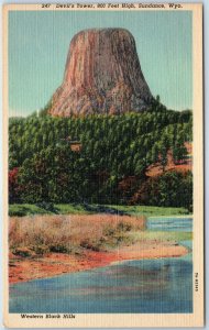 1937 Sundance, Wyo. Devil's Tower Ancient Tree Stump Basalt Volcano WY PC A246