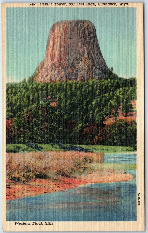 1937 Sundance, Wyo. Devil's Tower Ancient Tree Stump Basalt Volcano WY PC A246