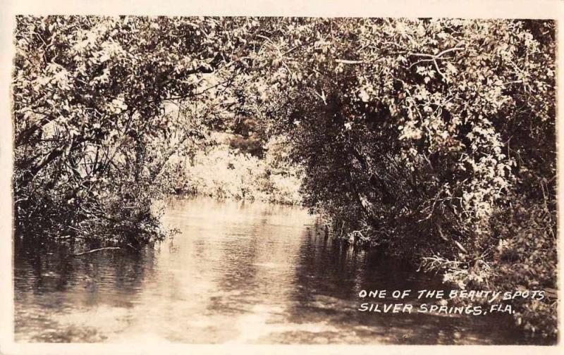 Silver Springs Florida Scenic Waterfront Real Photo Antique Postcard K72715