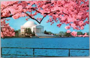 Jefferson Memorial with Cherry Blossom - posted 1980