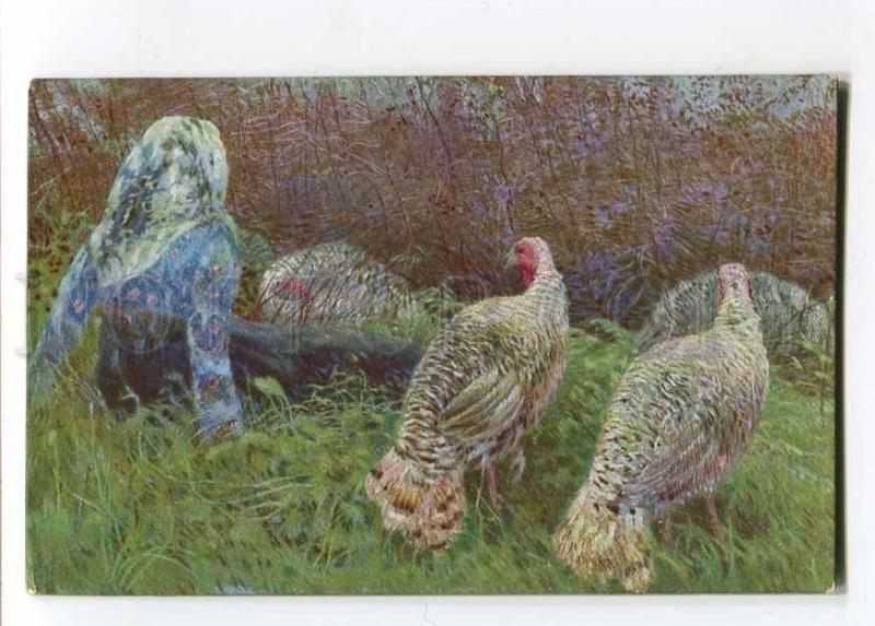 257507 Turkeys Birds GIRL by Tommaso CASCELLA Vintage PC