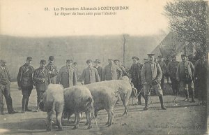 France Coëtquidan prison camp german prisoner bringing the pig to slaughterhouse 