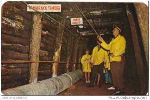 Guided Underground Tour Iron Mountain Iron Mine Iron Mountain Michigan