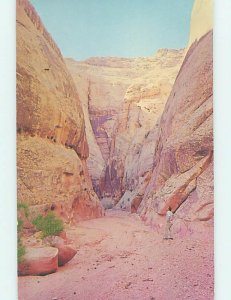 Pre-1980 NATURE SCENE Fruita - Near Hanksville & Caineville Utah UT AD3691