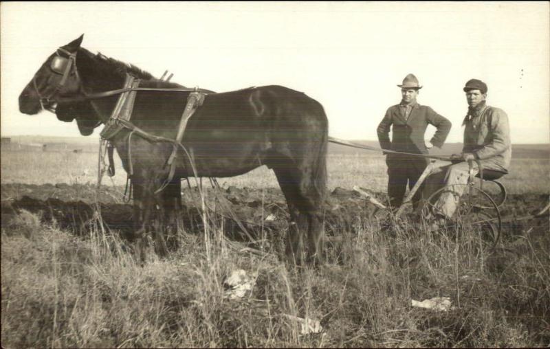 Farming Agriculture Horse Drawn Implement & Men CRISP c1910 Real Photo Postcard