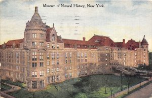 New York City NY 1920 Postcard Museum of Natural History