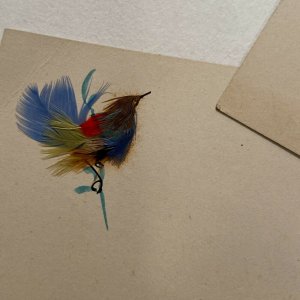 Dyed feather bird calling cards Victorian unused lot of 3 colors