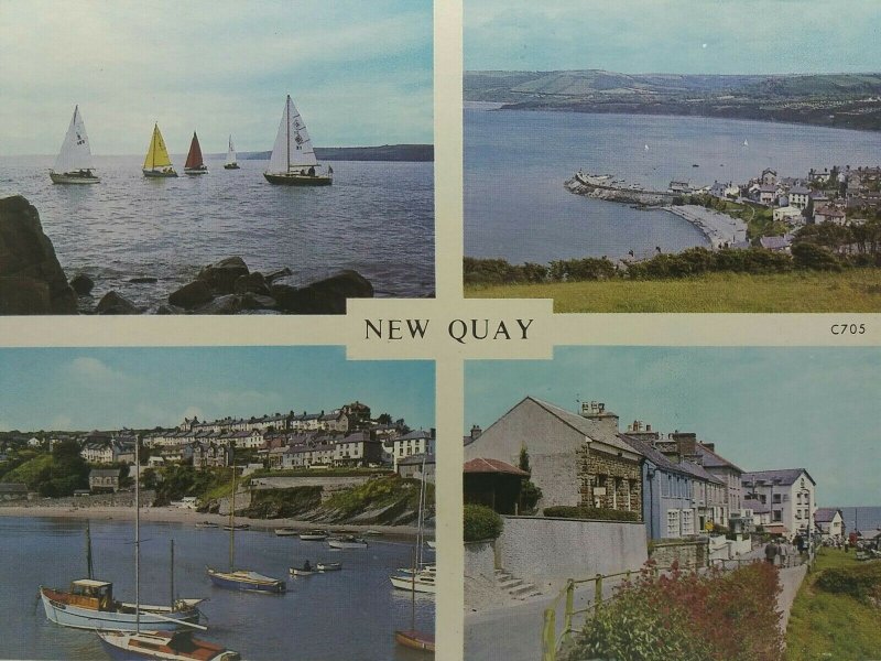 Vintage Multiview Welsh Postcard New Quay Ceredigion Wales