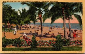 Florida Miami Beach The Tropical Bathing Beach At Lummus Park Curteich