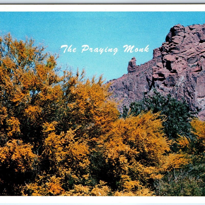 c1970s Phoenix, AZ Palo Verde The Praying Monk Paradise Valley 4x6 N.L Avery M10