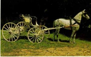 Early 1900s Fire Chief's Wagon, Amesbury, MA Postcard