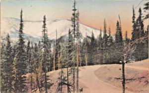 BERTHOUD PASS ROAD COLORADO~ALBERTYPE HAND COLORED PHOTO POSTCARD 1932 PSMK