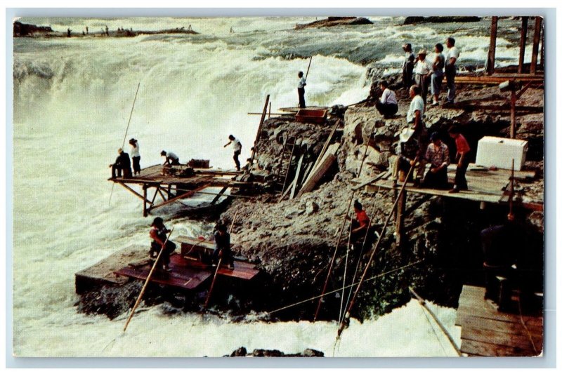 c1950's Indians Netting Fish At Celilo Falls Oregon-Washington Vintage Postcard