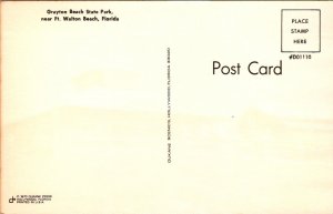 Grayton Beach State Park Near Ft. Walton Beach FL Vintage Postcard O68