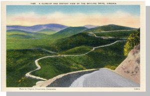 Skyline Drive,Close-Up View, Virginia/VA Postcard,Near Mint!