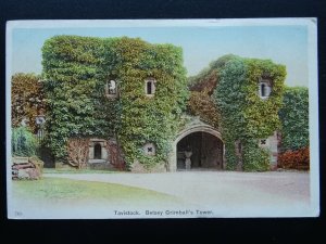 Devon TAVISTOCK Betsey Grimball's Tower c1905 Postcard