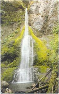 Marymere Falls Olympic National Park Washington WA