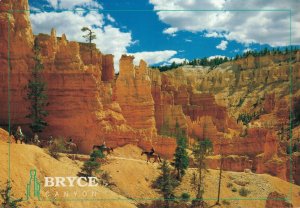 USA Utah Bryce Canyon Vintage Postcard BS.10