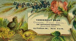 c.1879 Vanderbilt Bros Fertilizer New York Lovely Floral Baby Chicks Chickens