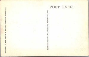 Postcard HIGHWAY SCENE Tuscarora Mountain Pennsylvania PA AL8590