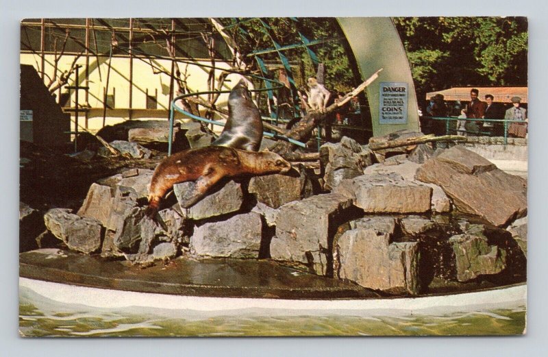 Monkeys Seals Sea Lions Stanley Park Zoo Vancouver BC UNP Chrome Postcard L13