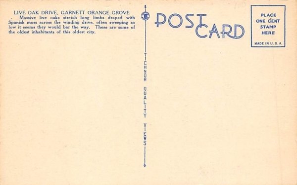 Live Oak Drive, Garnett Orange Grove St Augustine, Florida