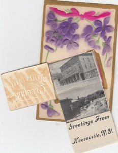 KEESVILLE, New York, 1900-10s; Pop-out Views