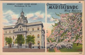 Martinsburg West Virginia Berkeley County Court House Postcard Z29