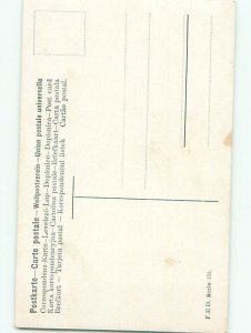 Divided-Back BIRDS SCENE Pretty Postcard AA9309