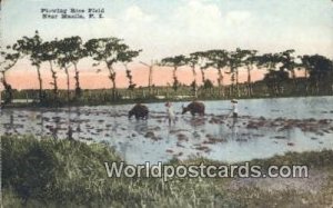 Plowing Rice Field Manila Philippines Rips on back 