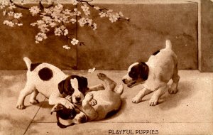 Playful Puppies