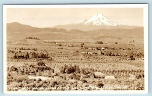 RPPC  MT. HOOD and ORCHARDS, Hood River Valley, Oregon OR ~ c1940s Eddy Postcard