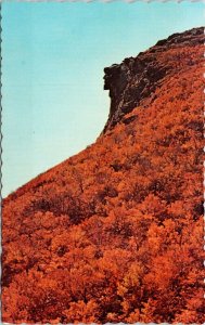 Old Man Of Mountain Franconia Notch NH Scenic Landmark Chrome Postcard 